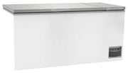 Coffre de stockage et congélateur IARP CF900 SILVER