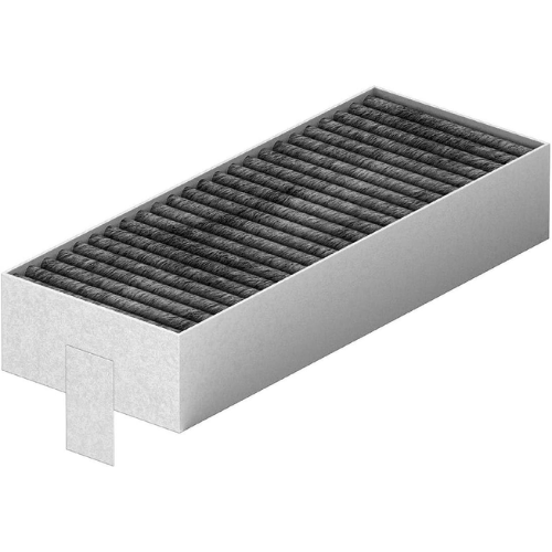 Filtres de remplacement CleanAir Bosch HEZ9VRCR0(#X398748)