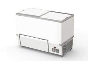 Congélateur coffre à réfrigération statique Globo 700 CCS Ng