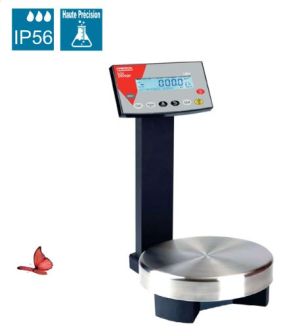 Option Imprimante B3C PR5