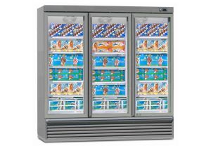 Le meuble réfrigéré négatif IARP EIS 165.3