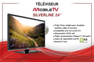 Silverline 24 DVDS2BT