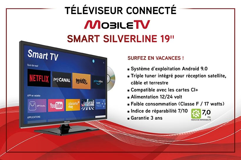 Téléviseur avec lecteur DVD MobileTv Silverline 19 DVDSBT SMART