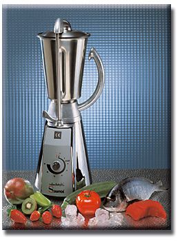 Mixeur bol inox SANTOS 37C2LI